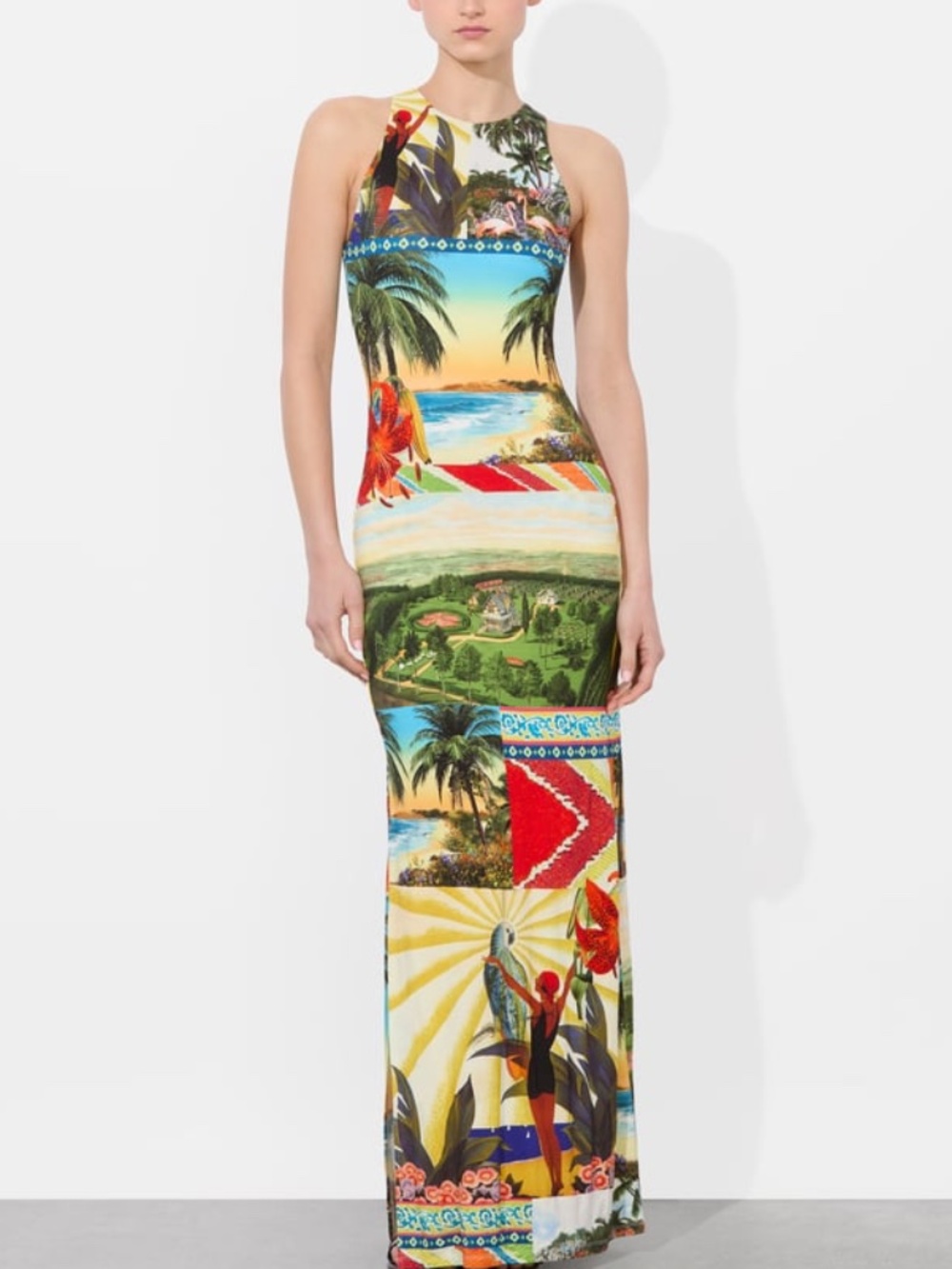 Alice + Olivia PANIA Island Dreams Tropical Print Maxi Dress - Size 2